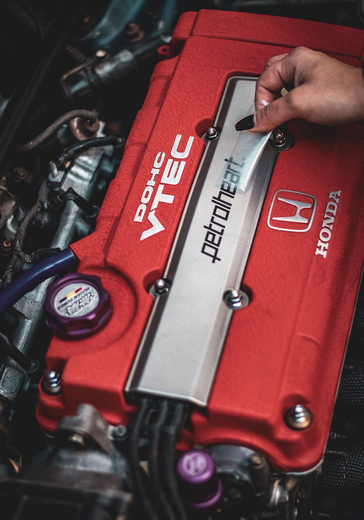 PROGRESSIVE | Sticker – Petrolheart